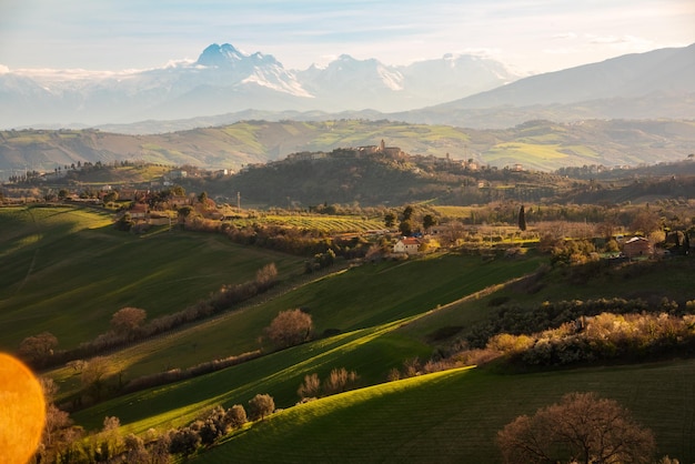 Countryside landscape green agricultural fields among hills