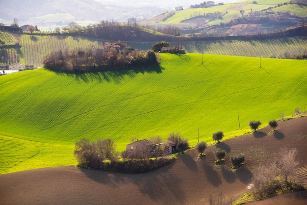 Countryside landscape green and brown agricultural fields among hills