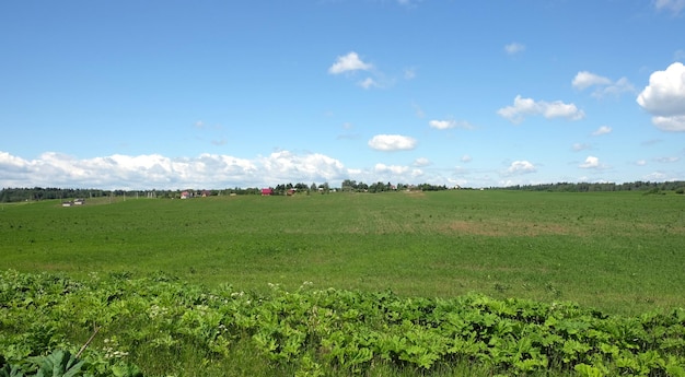 Countryside landscape with green field and a village far away on summer day