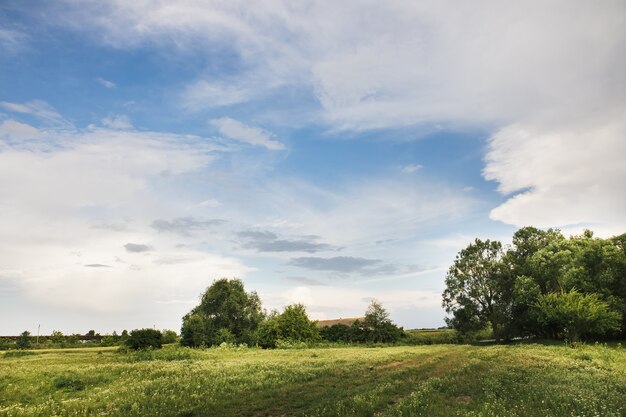 Countryside nature with a beautiful blue sky.