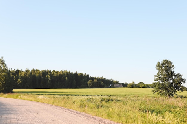 Countryside rural landscape and blue sky at sunset Summer and travel concept