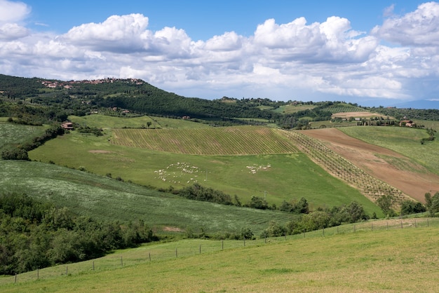 Countryside of Val dOrcia in Tuscany