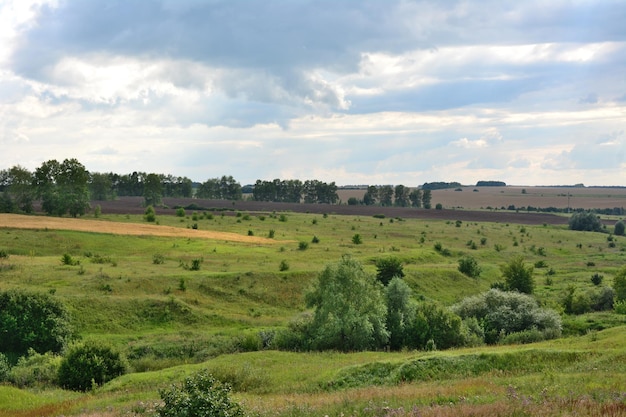 A countryside with a green field and forest in the background and a cloudy sky