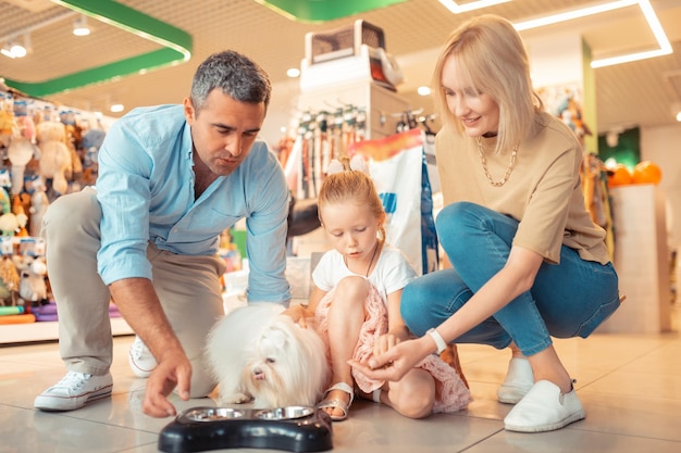 Couple of adults feeling excited while buying grey cat for their family