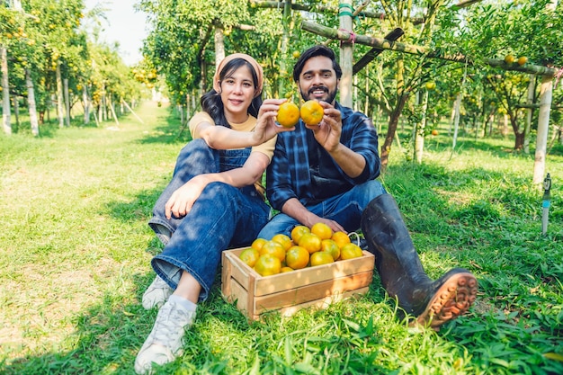 Couple gardener working in orange farm sitting with holding orange fruit concept agriculture