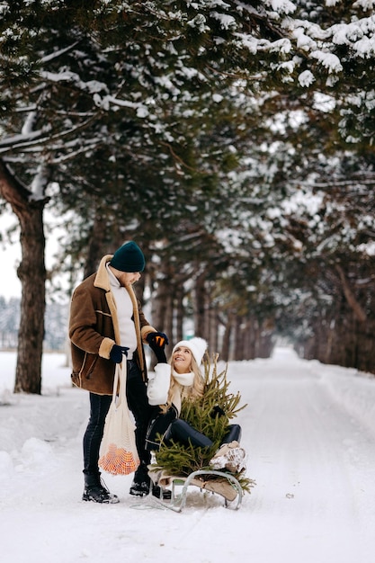 A couple having fun with sleigh in a Christmas tree forest , eating mandarins and enjoying a snowy