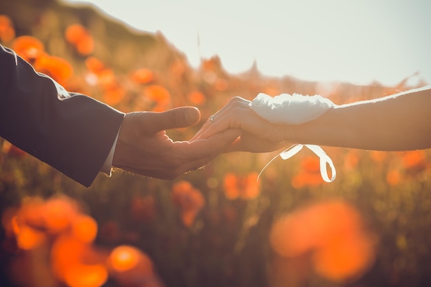 Couple holding hands at sunset