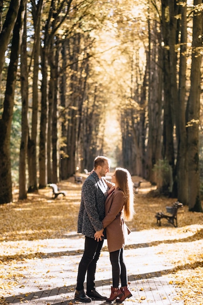 A couple in love embracing in an autumn park at sunset