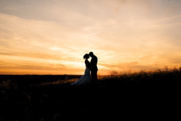 A couple in love a guy and a girl on a walk in the forest belt