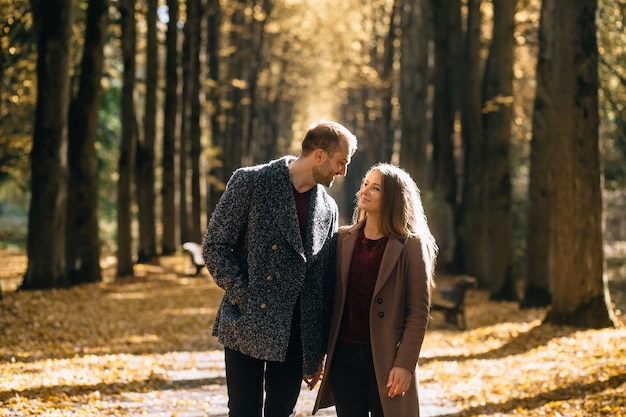 Couple in love walking in the park holding hands in the fall