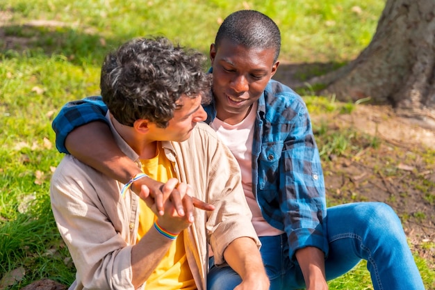 Couple of multiethnic gay men talking quietly in the park lgbt concept