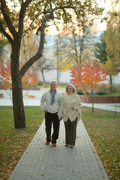 Couple walking in the park