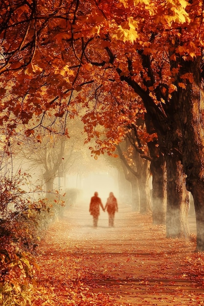 Photo couple walking through autumnal forest path