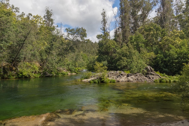 Course of the Oitaven river in Galicia