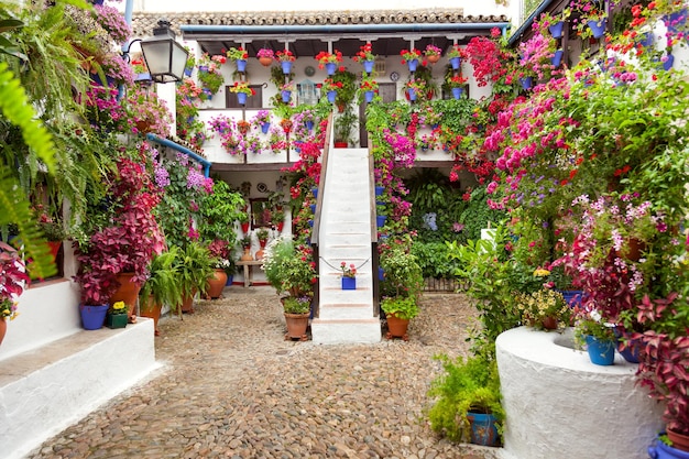 Courtyard with Flowers decorated Patio Fest Spain Europe