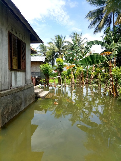 courtyards and gardens that were submerged in water due to overnight flooding.