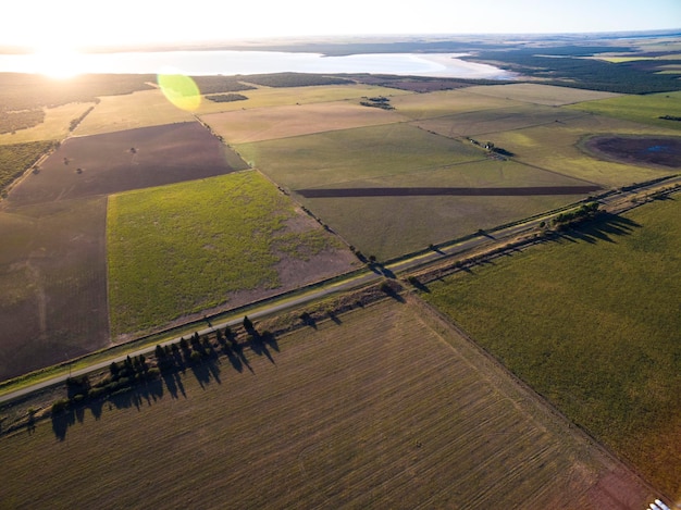 Coutryside planted with the direct sowing method PampasArgentina