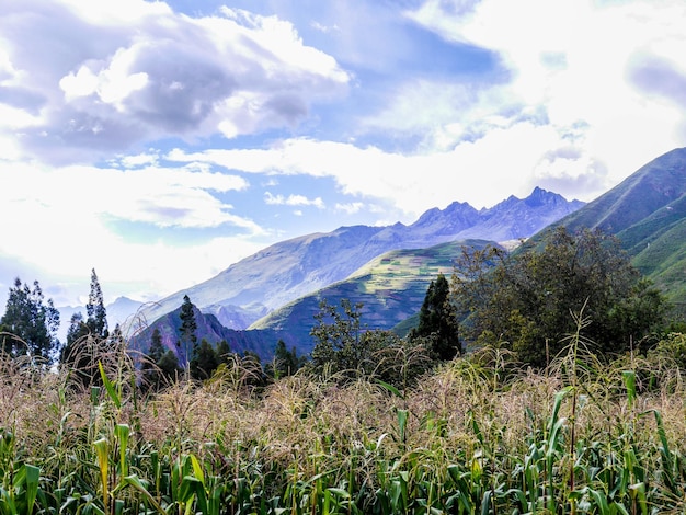 Cover background photographs of the Sacred Valley of the Incas in Cusco