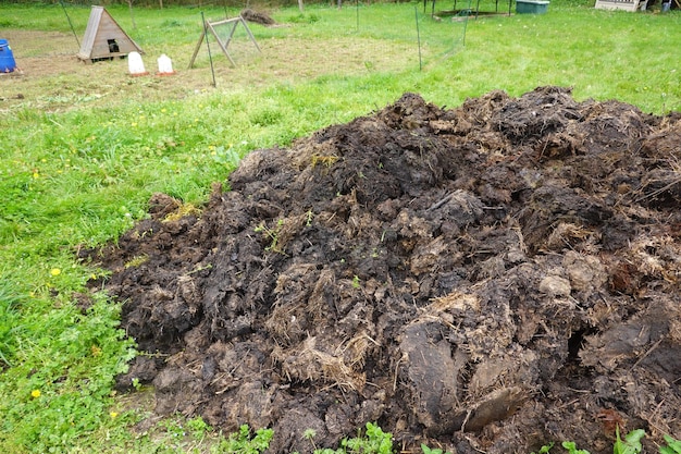 cow dung for the garden Pile of manure Cow poop to plant in the garden organic manure fertilizer