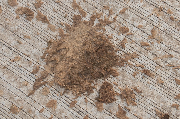 Cow dung was scattered on the road