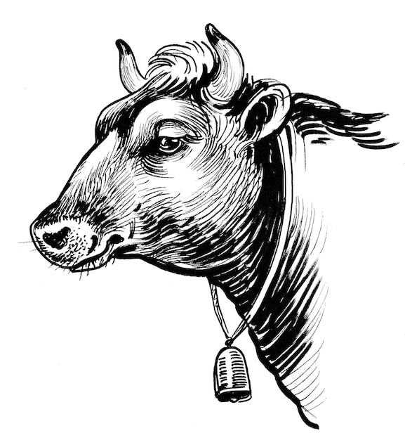 Cow head with a bell. Ink black and white drawing