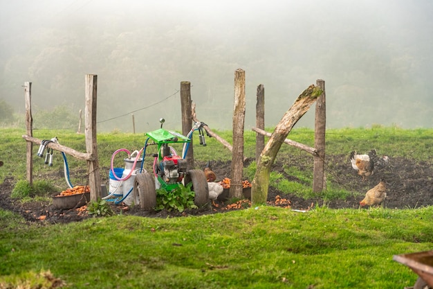 Cow milking machine in farm yard