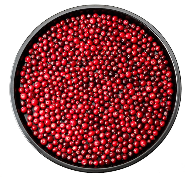 Cowberry isolated on a metal tray