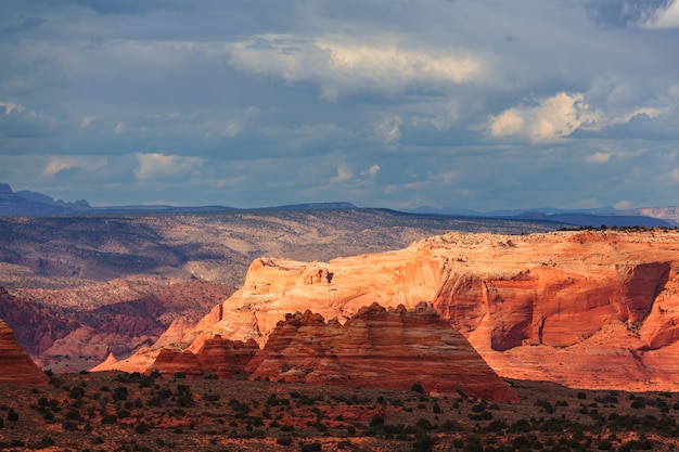 Coyote Buttes of the Vermillion Cliffs Wilderness Area, Utah and Arizona