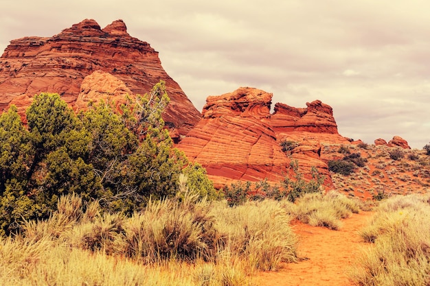 Coyote Buttes