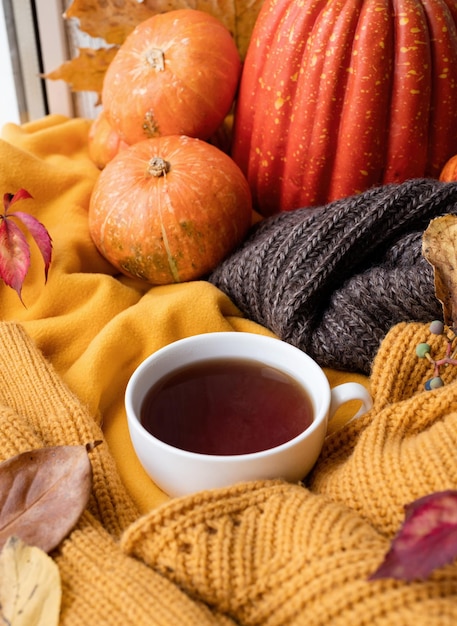 Cozy autumn composition sweater weather Pumpkins hot tea and sweaters on window