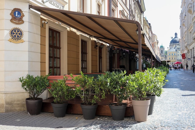 Cozy cafe in the city of Lviv