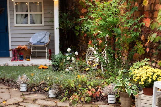 Cozy garden corner of house with Houseplants in pots. house terrace in decor.