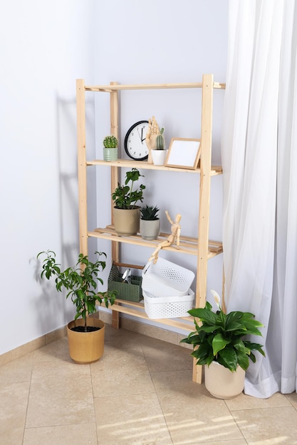 Cozy hobby growing indoor plants at home