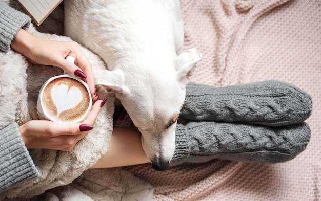 Cozy home woman covered with warm blanket drinks coffee sleeping dog next to woman