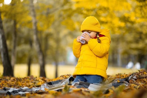 Cozy ideas for autumn picnic outdoors. Little child girl enjoys autumn hot drink, sitting among the colorful fallen leaves in a park. Hot beverage on a walk.