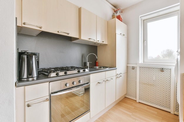 Cozy kitchen in a minimalist style with lots of cabinets and modern appliances