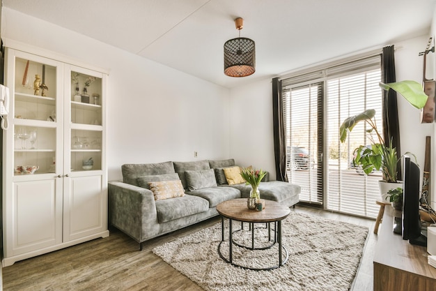 Cozy living room in apartment