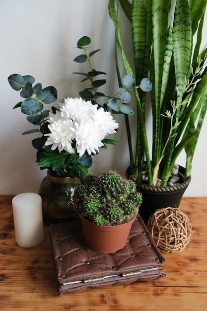 Cozy modern interior with houseplants