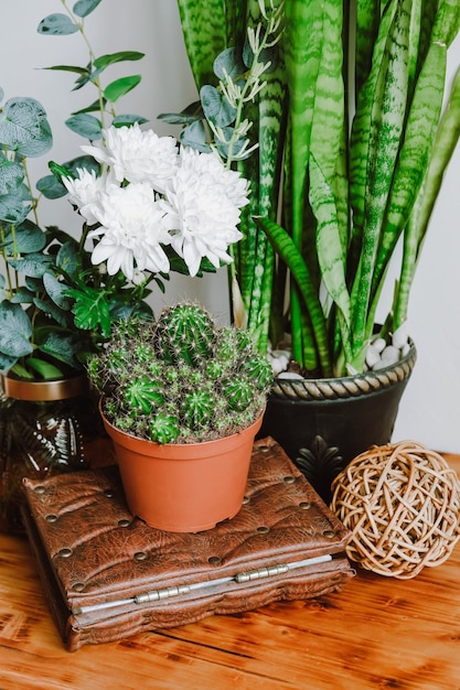 Cozy modern interior with a lot of plants