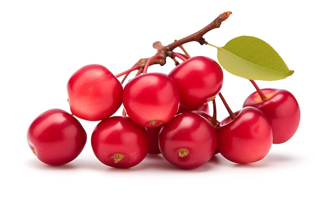 Crab apple isolated on white background