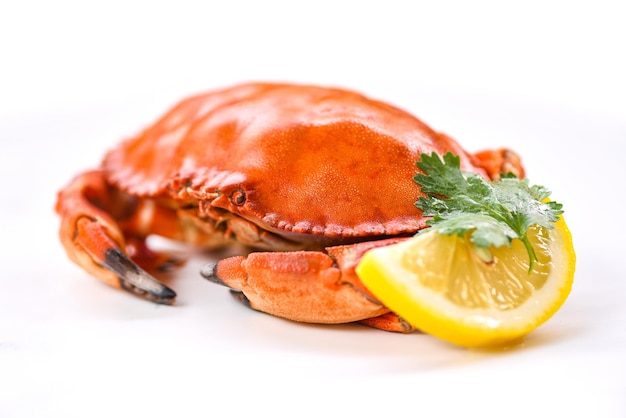 Photo crab isolated on white background fresh seafood stone crab with coriander and lemon