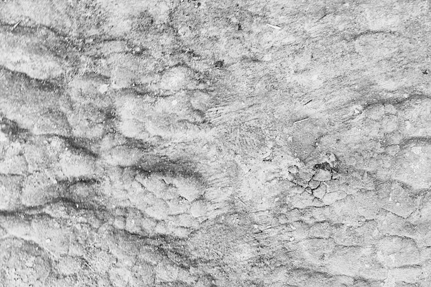 crack on the ground white background / abstract white vintage background broken texture