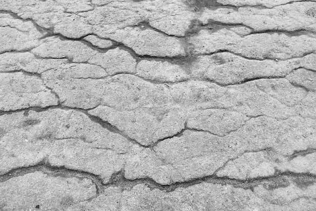 crack on the ground white background / abstract white vintage background broken texture