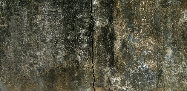 A crack in the wall. old cement surfaces are black molded and crac