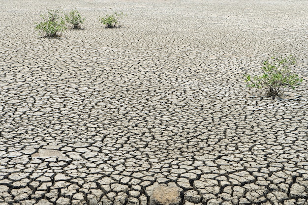 Cracked dried Ground background