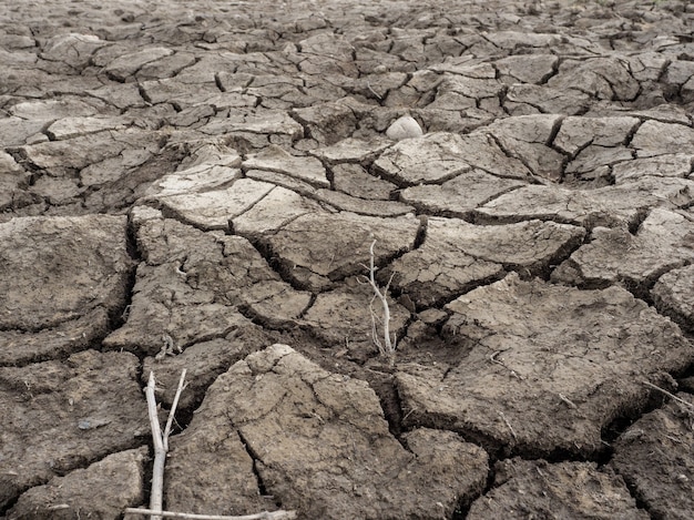 Cracked dry ground. Climate change, global warming, drought.