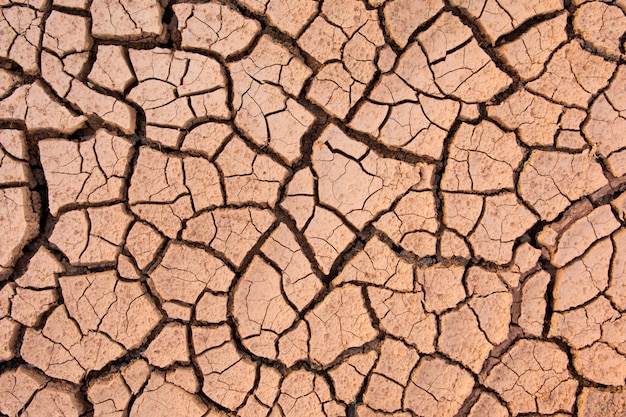 Cracked earth, cracked soil