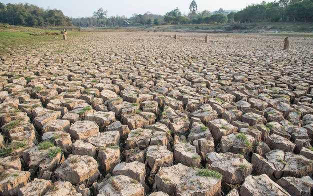 Cracked earth, Drought, Dry land, Dry tree, Dry Dam.