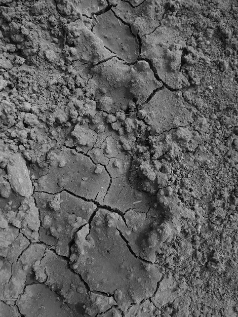 Cracked earth top view Cracks in the black soil Drought problem