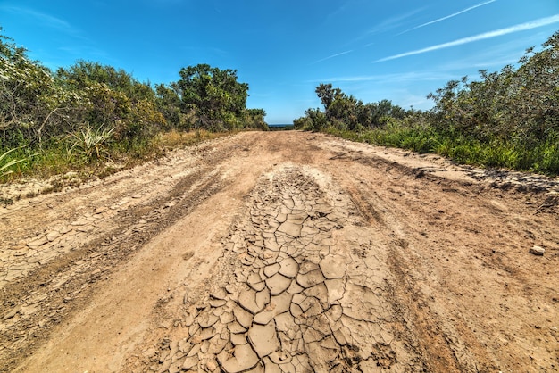 Cracked ground in a dirt road